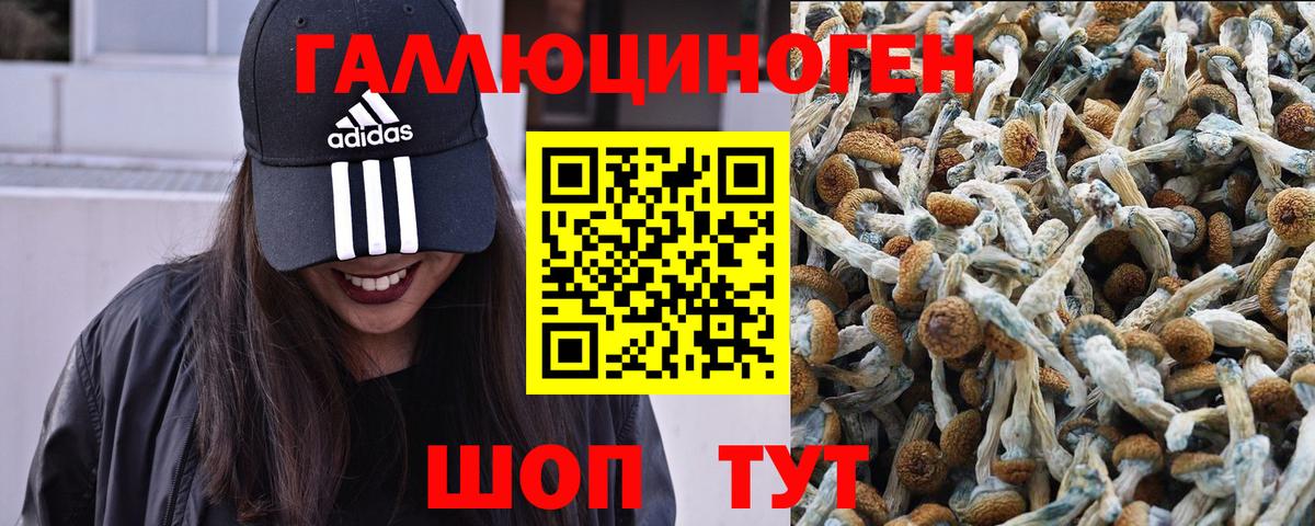Галлюциногенные грибы прущие грибы  Вход с VPN  Березники 